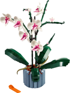The Botanical Collection Orchidee (10311)