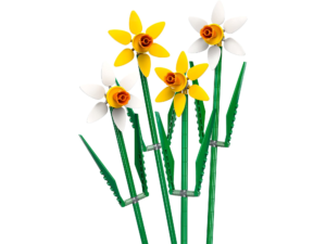 The Botanical Collection Narcissen (40747)